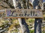l&apos;arbre à l&apos;échelle