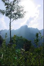 Vue des alpages de Potat
