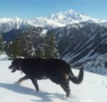 Lola dans tous ses états