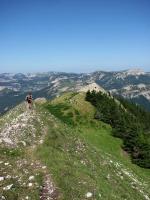 Peu avant le sommet du Mt Barral.