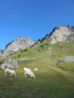 J2 : prêts à remonter