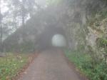 Tunnel de la route forestière