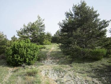 montée au Serre Suquet