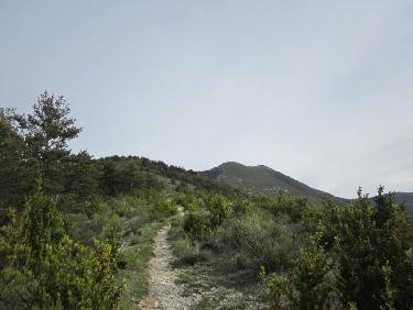 Serre Suquet et Fourchat