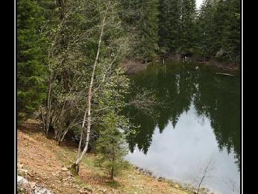 Le lac du Mont Mayen