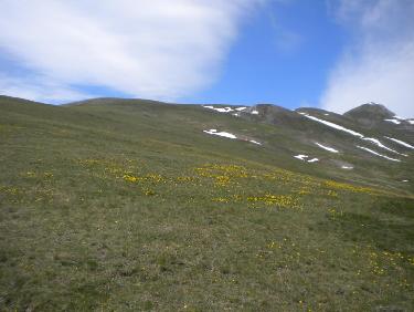 Les Pâturages de Chine
