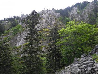 Site d&apos;escalade du Saut du Gier