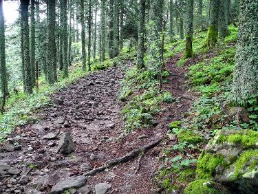 doublement du chemin pierreux...