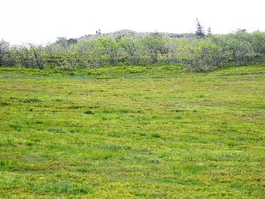 ArrivÃ©e au sommet du CrÃªt de la Perdrix
