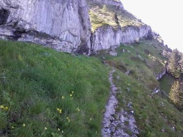 et une traversée entre deux barres
