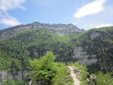 picnic sur terrasse ensoleillée