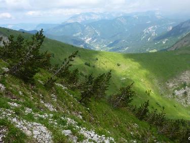 Croupe herbeuse du Serre des Oeufs