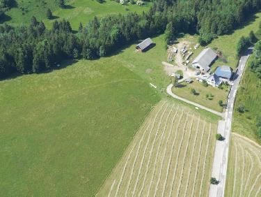 avec une belle trace d&apos;herbe piétinée