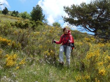 la Côte de l&apos;Ane