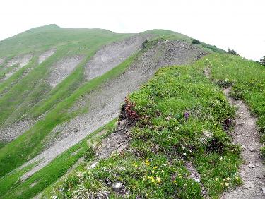 le sommet se rapproche