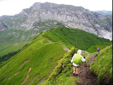 Dans la descente vers Orgeval