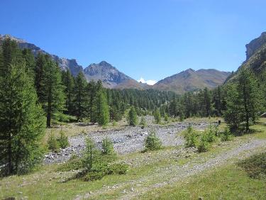 vers le col du Vallonet