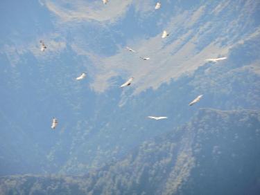 suite de la formation