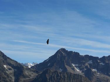 un échappé du peloton