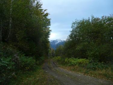 Terminus de la longue route forestiere