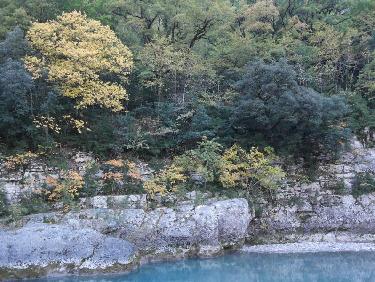 Toujours la plage picnic