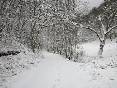 Enneigé sur la route des Combes
