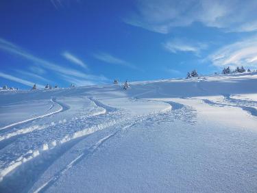 miam miam jusqu'en bas