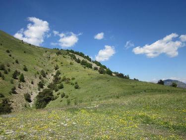crête herbeuse de descente