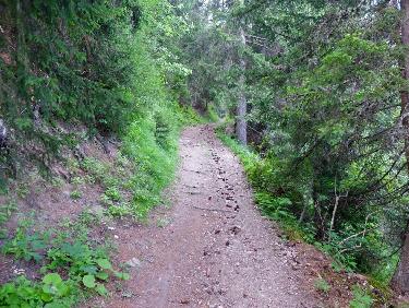 Il est très joli le sentier en bas