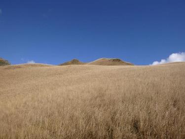 Magique cette prairie suspendue au dessus des barr