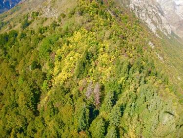 Couleurs changeantes... C&apos;est bientot lautomne