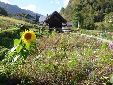 Les jardins de Valmaure