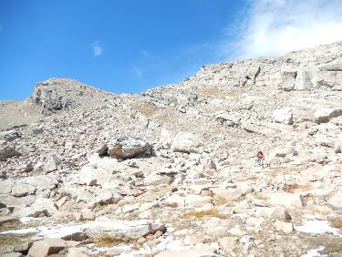 Tête de l&apos;Estrop