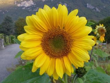 Le jour se lève sur Montmelian