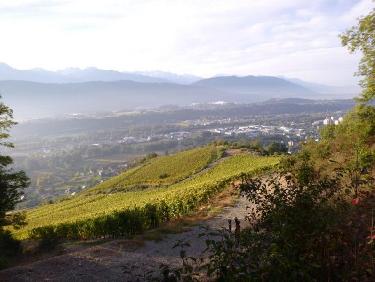 En haut des vignes