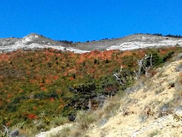 Couleurs d&apos;automne.