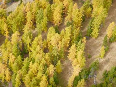 Et encore de malaises