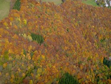 En voila des couleurs d automne