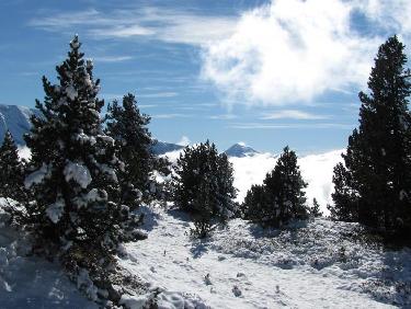 Il y en a un peu à certains endroits.