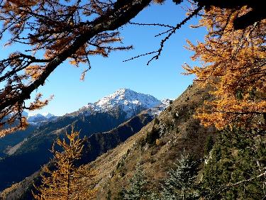 Mélèzes et Sambuis