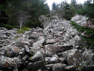 Au pied de l&apos;Ã©boulis de blocs du Mounier