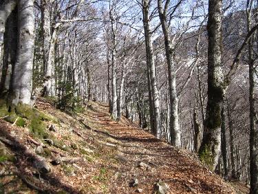 montée printanière