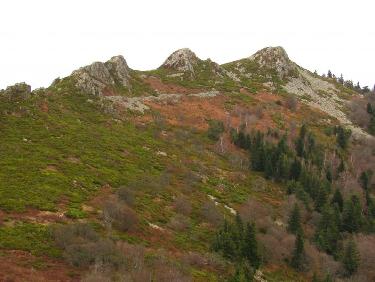 Cherchez bien ! Il y en quatre !