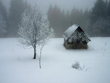 cabane du Pleynon