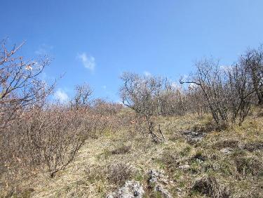 final de l'arête sud