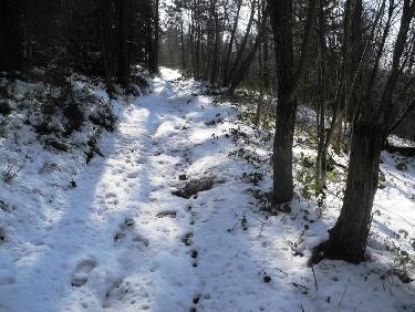 Chemin enneigÃ© vers 950m