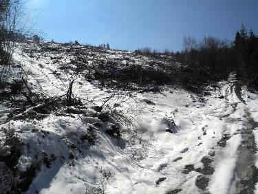 Au bas de la clairiÃ¨re du dÃ©co