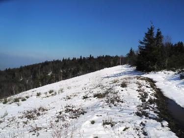 En haut de la clairiÃ¨re du dÃ©co