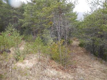 Descente vers la Faurie