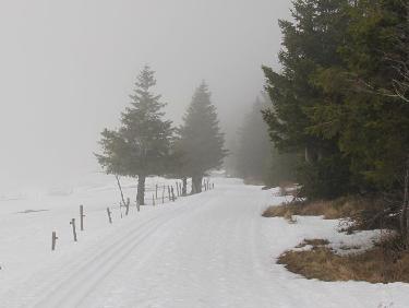 Ambiance coté Haute-Loire ...